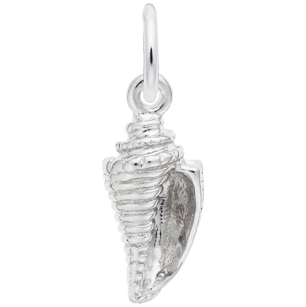 0553-Silver-Shell-RC