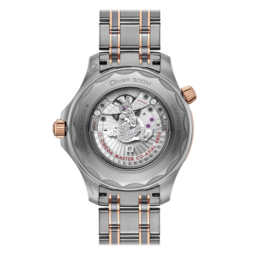 Omega Limited Edition Seamaster Diver 300M 42mm Titanium/Tantalum