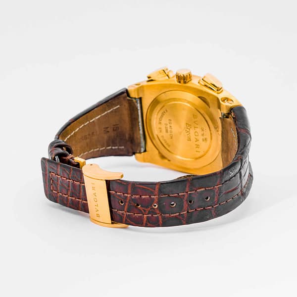 BVLGARI Ergon 腕時計 35mm Bvlgari Ergon EG-35-S stainless steel Automatic Wrist Watch