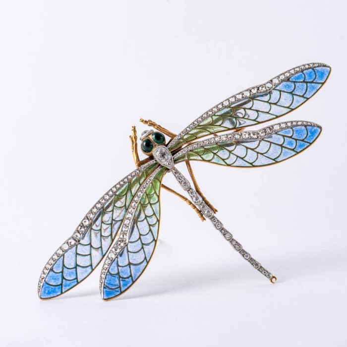 White Dragonfly Pearl Brooch  Buy Stylish women's brooches