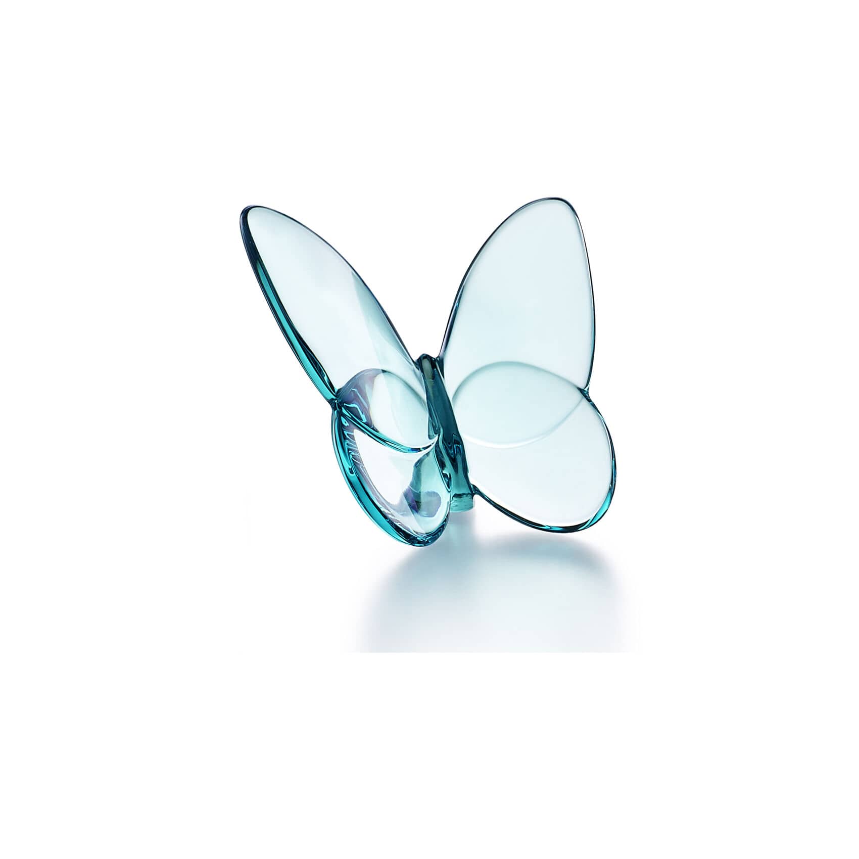 Papillon Lucky Butterfly (Turquoise) — Shreve, Crump & Low